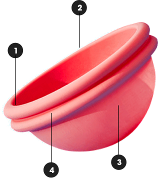 Pink menstrual disc with labeled parts, including rim, upper ring, body, and stem.